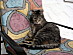 View full size picture