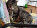 View full size picture