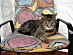 View full size picture