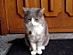View full size picture