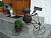 View full size picture