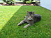 View full size picture