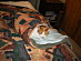 View full size picture