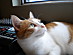 View full size picture