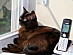 View full size picture