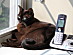View full size picture