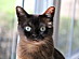View full size picture