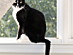 View full size picture