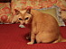 View full size picture