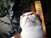 View full size picture
