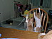 View full size picture