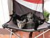 View full size picture