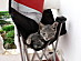 View full size picture