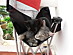 View full size picture