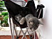 View full size picture