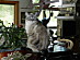 View full size picture