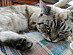 View full size picture