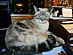 View full size picture