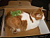View full size picture