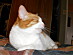 View full size picture