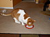 View full size picture