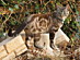 View full size picture