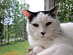 View full size picture