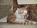 View full size picture