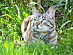 View full size picture