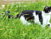 View full size picture