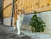 View full size picture