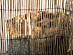 View full size picture