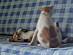 View full size picture