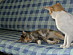 View full size picture