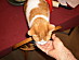 View full size picture