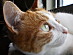 View full size picture