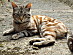 View full size picture