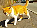 View full size picture