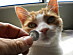 View full size picture