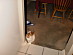 View full size picture