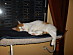 View full size picture