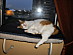 View full size picture