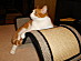 View full size picture