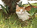 View full size picture