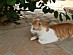 View full size picture
