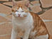 View full size picture