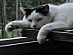 View full size picture
