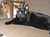 View full size picture