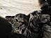 View full size picture