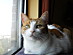View full size picture